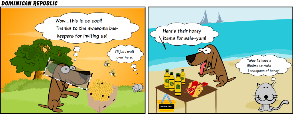 Dominican Bees