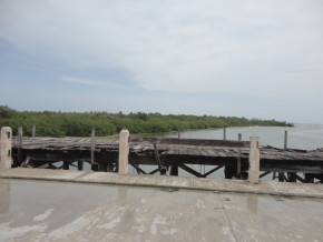 005resize